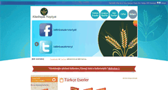 Desktop Screenshot of altinbasaknesriyat.com
